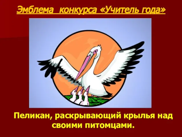 Эмблема конкурса «Учитель года» Пеликан, раскрывающий крылья над своими питомцами.