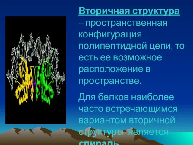 Вторичная структура – пространственная конфигурация полипептидной цепи, то есть ее возможное расположение