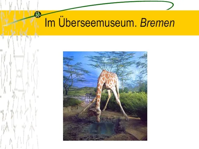 Im Überseemuseum. Bremen