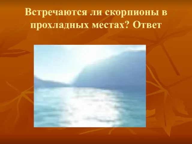 Встречаются ли скорпионы в прохладных местах? Ответ