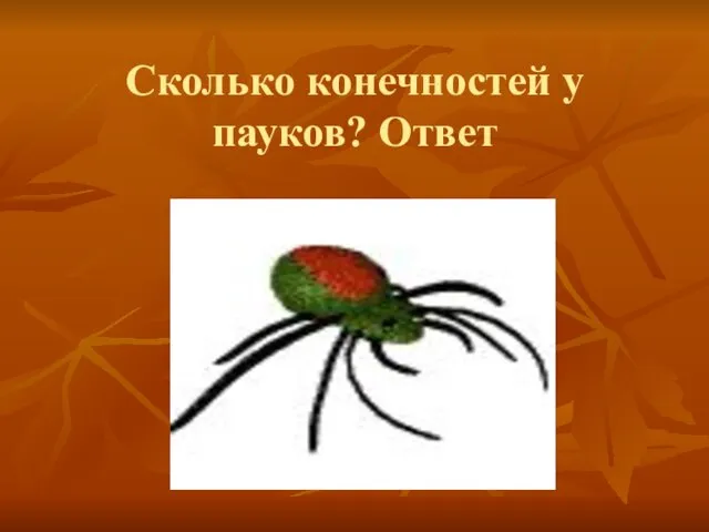 Сколько конечностей у пауков? Ответ