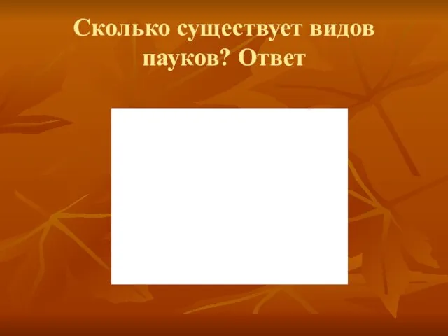 Сколько существует видов пауков? Ответ