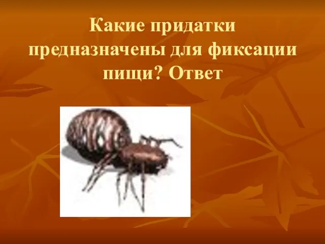 Какие придатки предназначены для фиксации пищи? Ответ