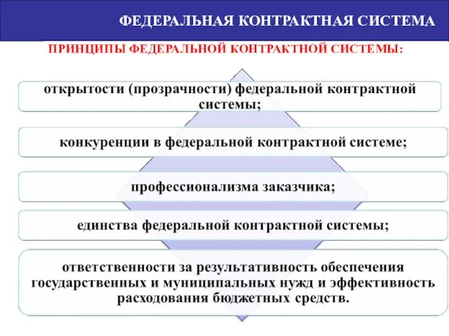 ФЕДЕРАЛЬНАЯ КОНТРАКТНАЯ СИСТЕМА ПРИНЦИПЫ ФЕДЕРАЛЬНОЙ КОНТРАКТНОЙ СИСТЕМЫ: