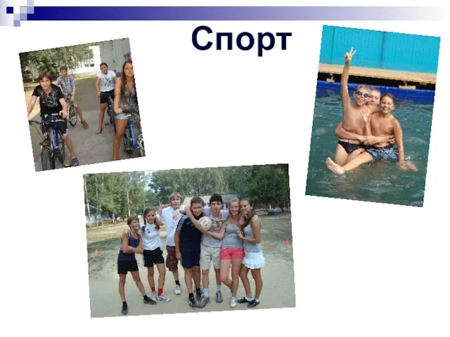 Спорт