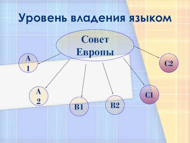 Уровень владения языком Совет Европы A1 A2 B1 B2 C1 C2