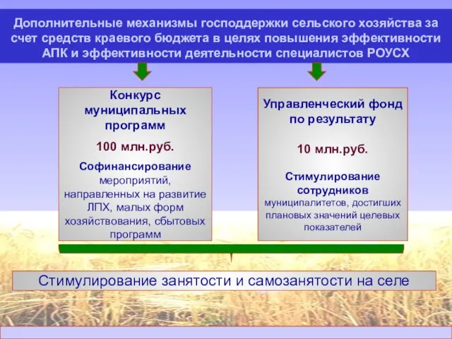 Конкурс муниципальных программ 100 млн.руб. Софинансирование мероприятий, направленных на развитие ЛПХ, малых