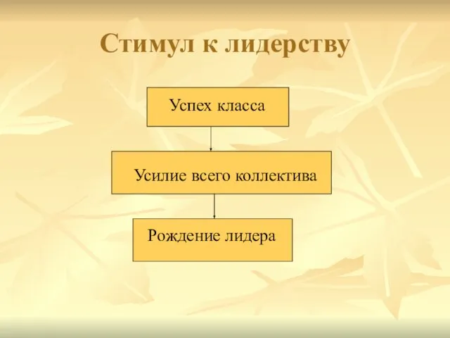 Стимул к лидерству Успех класса Усилие всего коллектива Рождение лидера