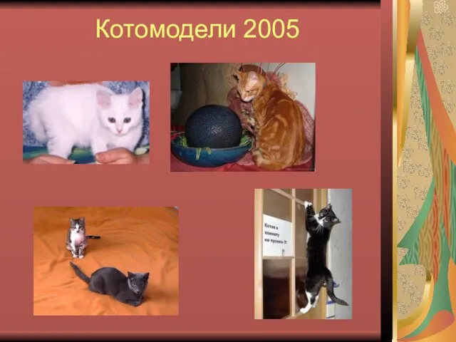 Котомодели 2005