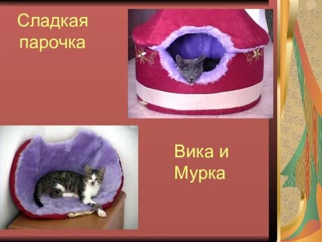 Сладкая парочка Вика и Мурка