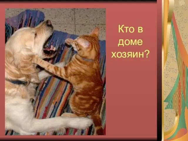 Кто в доме хозяин?