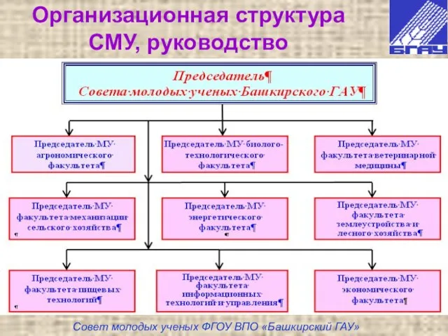 Организационная структура СМУ, руководство Совет молодых ученых ФГОУ ВПО «Башкирский ГАУ»