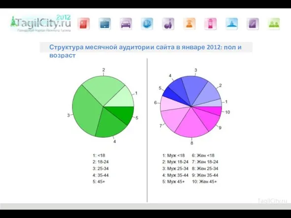 Структура месячной аудитории сайта в январе 2012: пол и возраст