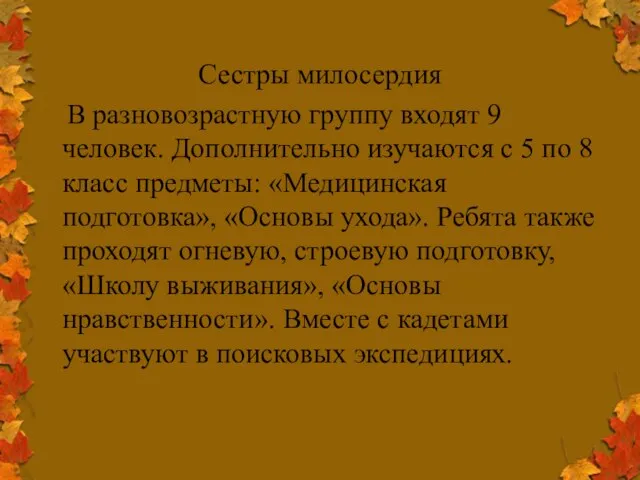 Сестры милосердия В разновозрастную группу входят 9 человек. Дополнительно изучаются с 5