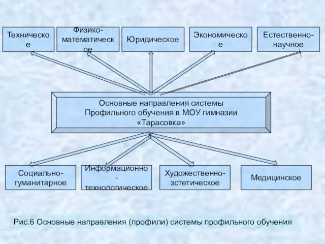 Техническое Физико- математическое Юридическое Экономическое Естественно- научное Основные направления системы Профильного обучения