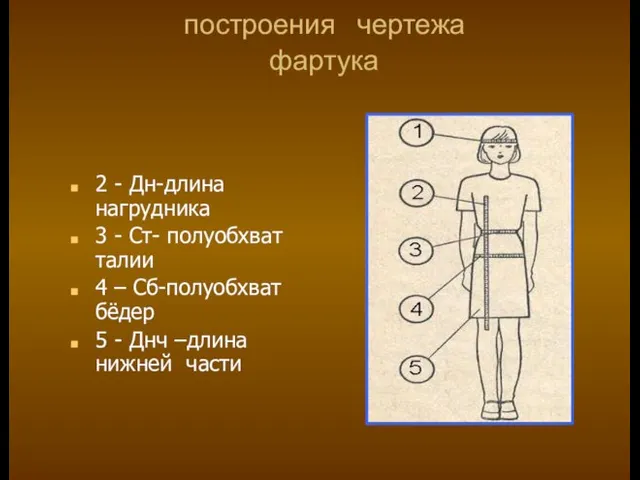 Снятие мерок для построения чертежа фартука 2 - Дн-длина нагрудника 3 -