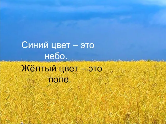 Что значат эти полосы? Это флаг Украины. Синий цвет – это небо.