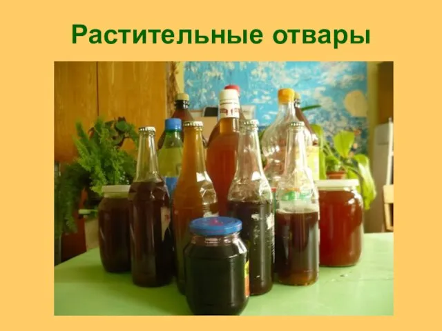 Растительные отвары