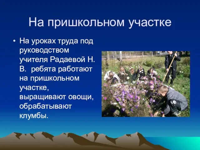 На пришкольном участке На уроках труда под руководством учителя Радаевой Н.В. ребята