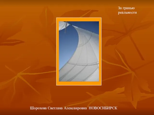 За гранью реальности Шорохова Светлана Алексанровна НОВОСИБИРСК