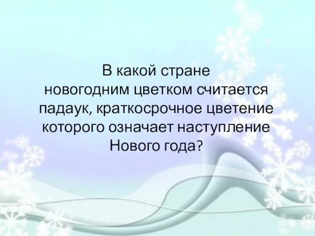 В какой стране новогодним цветком считается падаук, краткосрочное цветение которого означает наступление Нового года?