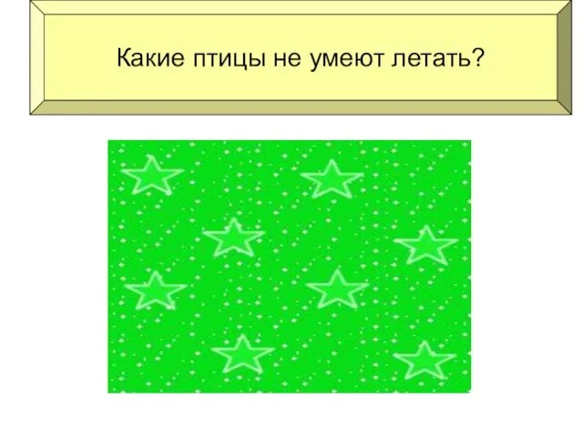 пингвин страус Какие птицы не умеют летать?