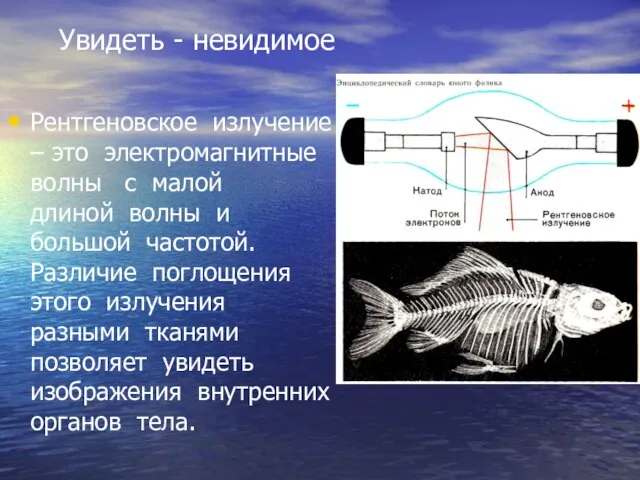 Увидеть - невидимое Рентгеновское излучение – это электромагнитные волны с малой длиной