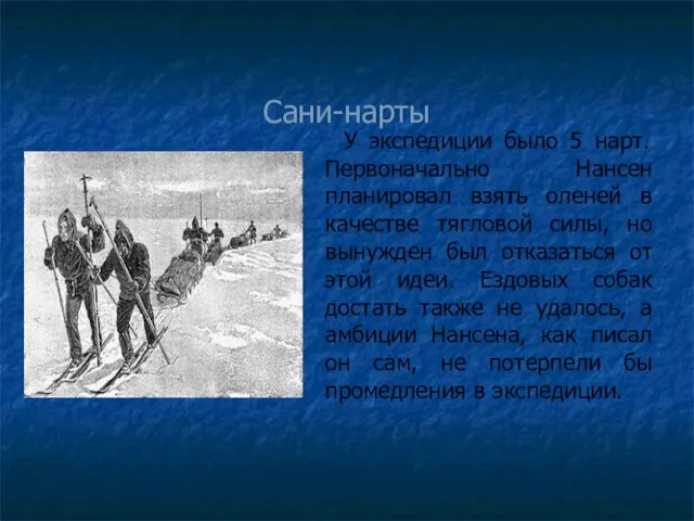 Сани-нарты У экспедиции было 5 нарт. Первоначально Нансен планировал взять оленей в