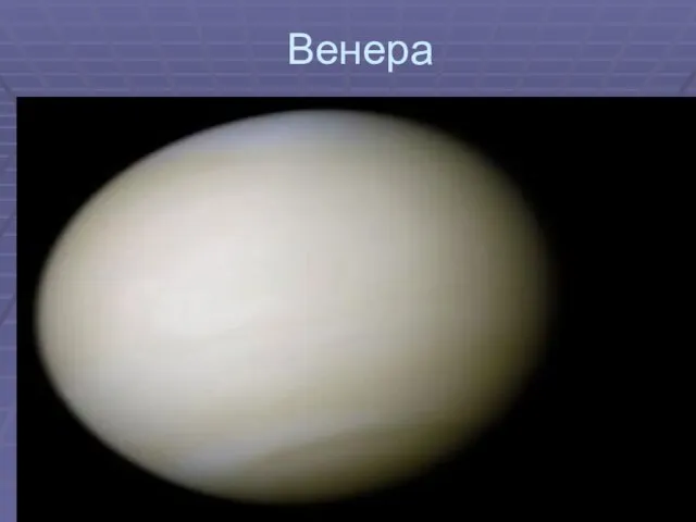 Венера