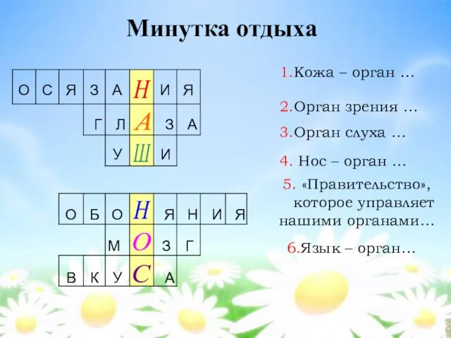 Минутка отдыха 1.Кожа – орган … 2.Орган зрения … 3.Орган слуха …