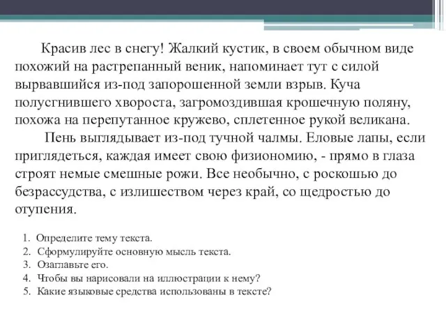 Красив лес в снегу! Жалкий кустик, в своем обычном виде похожий на