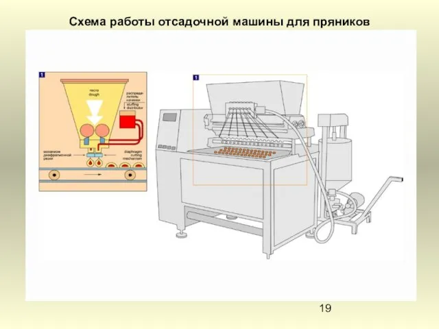 Схема работы отсадочной машины для пряников