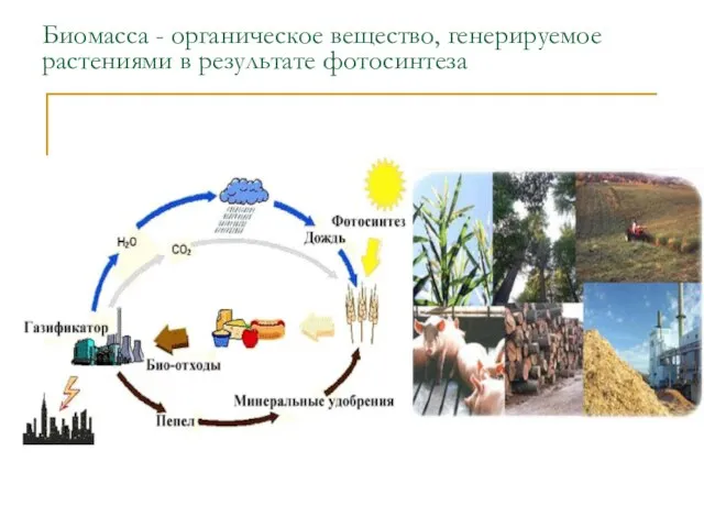 Биомасса - органическое вещество, генерируемое растениями в результате фотосинтеза