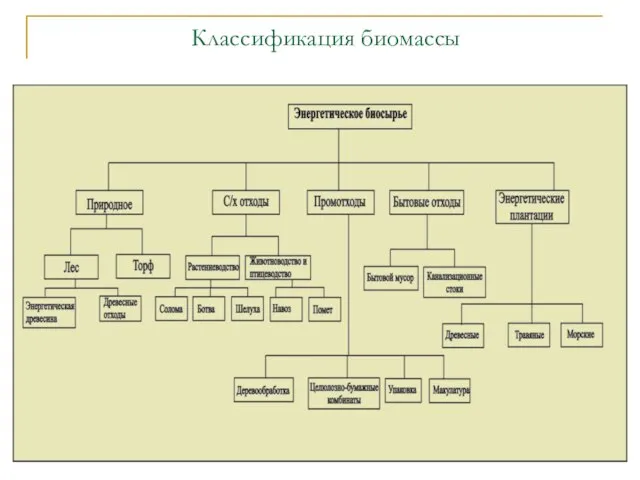 Классификация биомассы