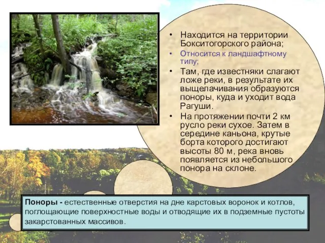 Находится на территории Бокситогорского района; Относится к ландшафтному типу; Там, где известняки