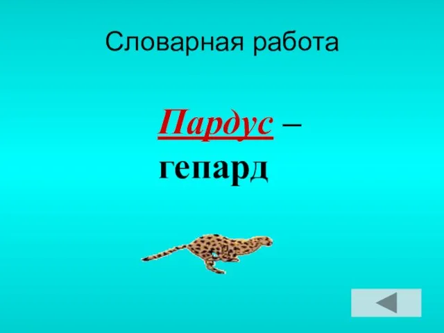 Словарная работа Пардус – гепард