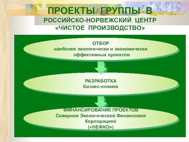 ПРОЕКТЫ ГРУППЫ В РОССИЙСКО-НОРВЕЖСКИЙ ЦЕНТР «ЧИСТОЕ ПРОИЗВОДСТВО» ОТБОР наиболее экологически и экономически