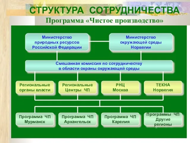 СТРУКТУРА СОТРУДНИЧЕСТВА Программа «Чистое производство»