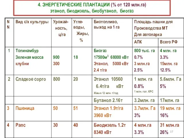 4. ЭНЕРГЕТИЧЕСКИЕ ПЛАНТАЦИИ (% от 120 млн.га) этанол, биодизель, биобутанол, биогаз