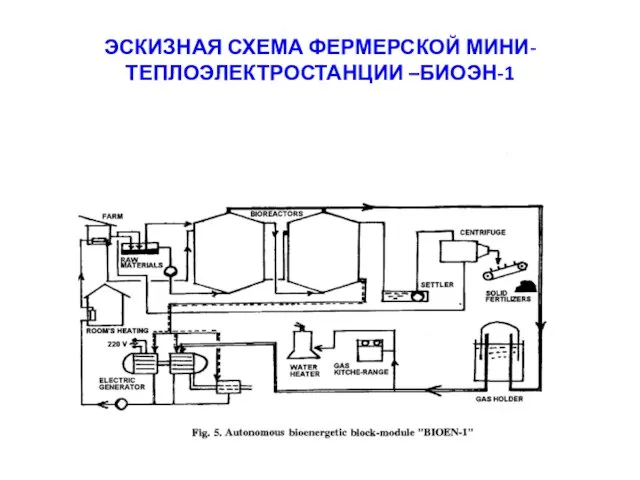 ЭСКИЗНАЯ СХЕМА ФЕРМЕРСКОЙ МИНИ-ТЕПЛОЭЛЕКТРОСТАНЦИИ –БИОЭН-1