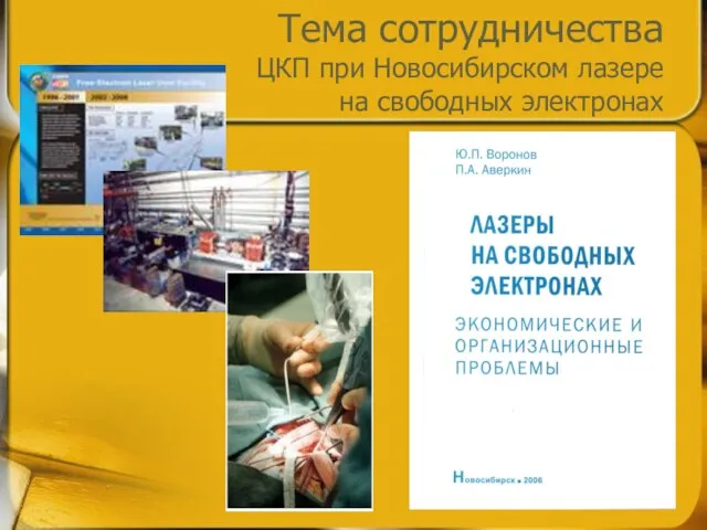 Тема сотрудничества ЦКП при Новосибирском лазере на свободных электронах