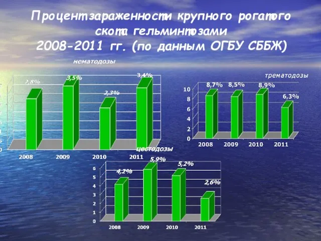 Процент зараженности крупного рогатого скота гельминтозами 2008-2011 гг. (по данным ОГБУ СББЖ)