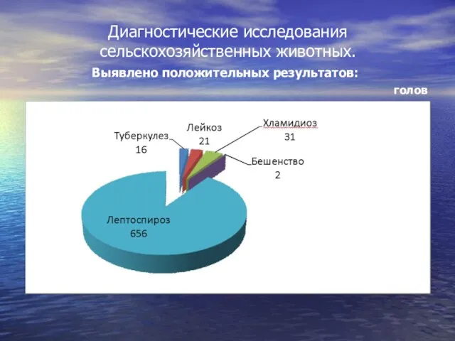 Диагностические исследования сельскохозяйственных животных. Выявлено положительных результатов: голов