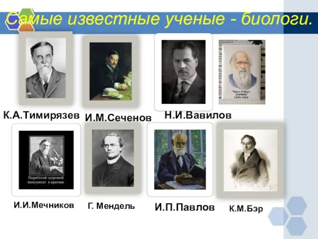 Самые известные ученые - биологи. И.И.Мечников Н.И.Вавилов К.А.Тимирязев И.М.Сеченов И.П.Павлов Г. Мендель К.М.Бэр