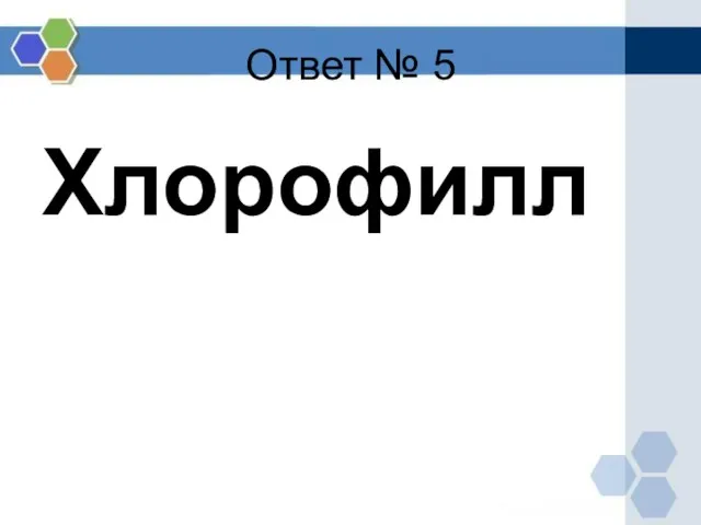 Ответ № 5 Хлорофилл