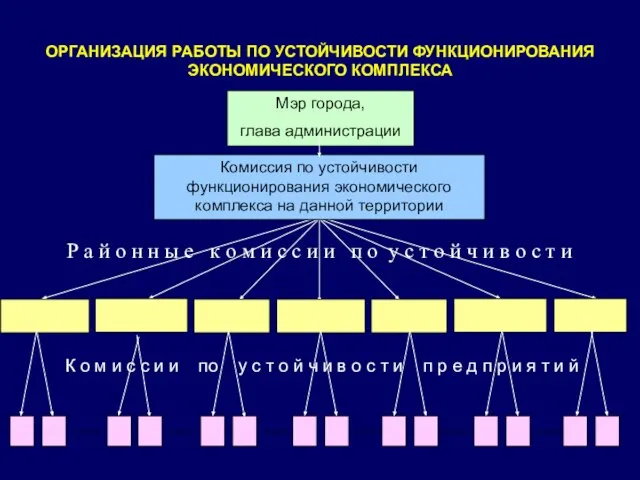 ОРГАНИЗАЦИЯ РАБОТЫ ПО УСТОЙЧИВОСТИ ФУНКЦИОНИРОВАНИЯ ЭКОНОМИЧЕСКОГО КОМПЛЕКСА Мэр города, глава администрации Комиссия