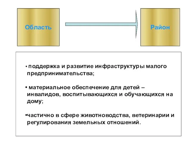 Область Район поддержка и развитие инфраструктуры малого предпринимательства; материальное обеспечение для детей