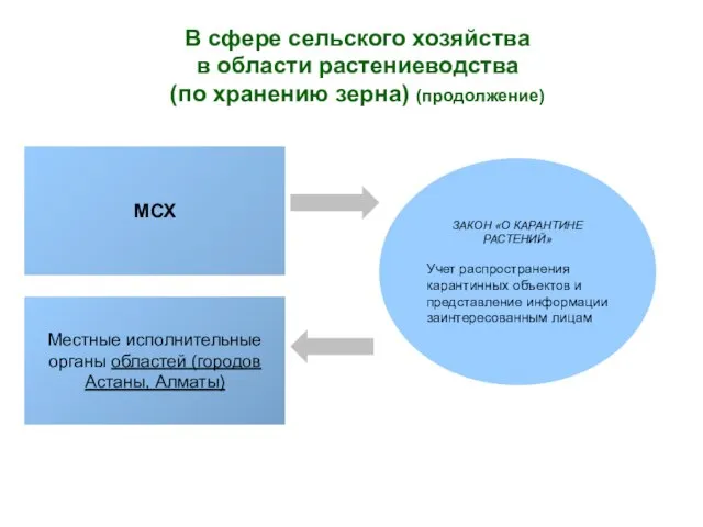 В сфере сельского хозяйства в области растениеводства (по хранению зерна) (продолжение) МСХ