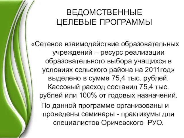 ВЕДОМСТВЕННЫЕ ЦЕЛЕВЫЕ ПРОГРАММЫ «Сетевое взаимодействие образовательных учреждений – ресурс реализации образовательного выбора