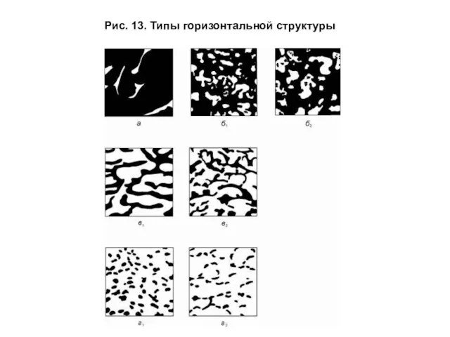 Рис. 13. Типы горизонтальной структуры